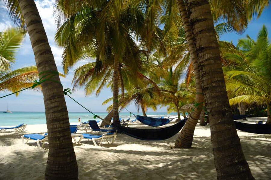 From Punta Cana: Catamaran Tour to Saona Island with Open Bar and Buffet - Lunch on Saona and the onboard buffet style that actually works