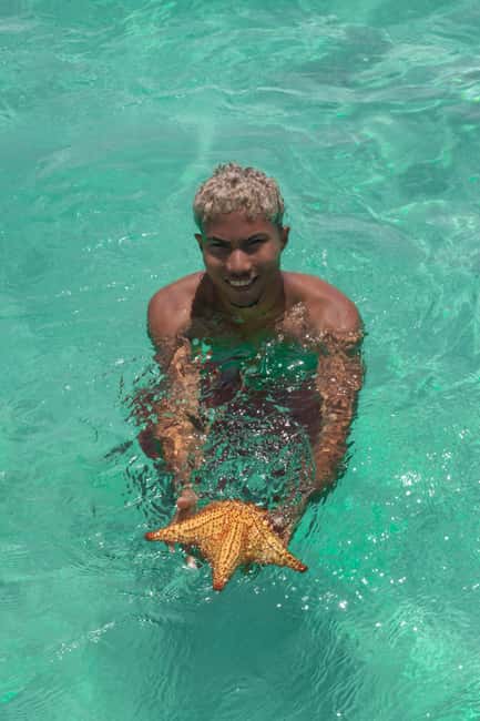 From Punta Cana: Catamaran Tour to Saona Island with Open Bar and Buffet - Open bar and drinks: what’s included and how to keep it fun