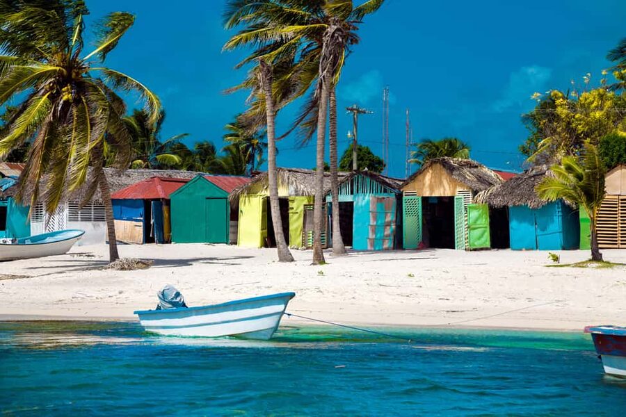 From Punta Cana: Catamaran Tour to Saona Island with Open Bar and Buffet - Who this Saona trip fits best, and who should choose another option