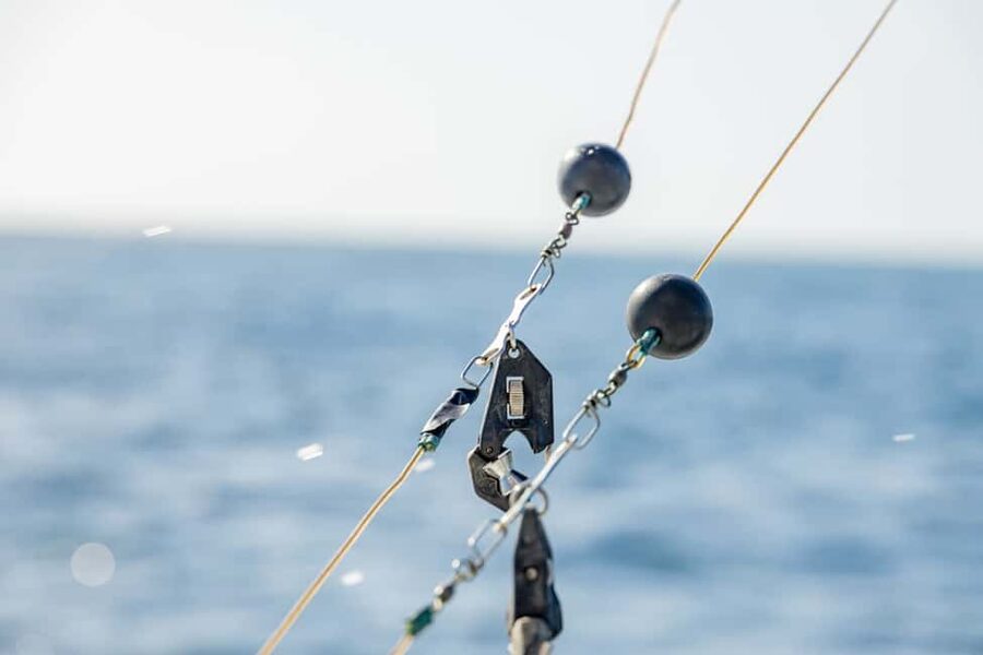 From Punta Cana: Deep Sea Fishing Tour by Boat with Drinks - Fishing gear and bait: what you get, and how the crew keeps trying