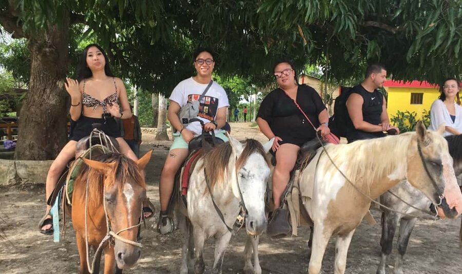 From Punta Cana: History and Culture Tour with River Swim - The farm visit: coffee, cocoa, vanilla, and fruit you can actually taste
