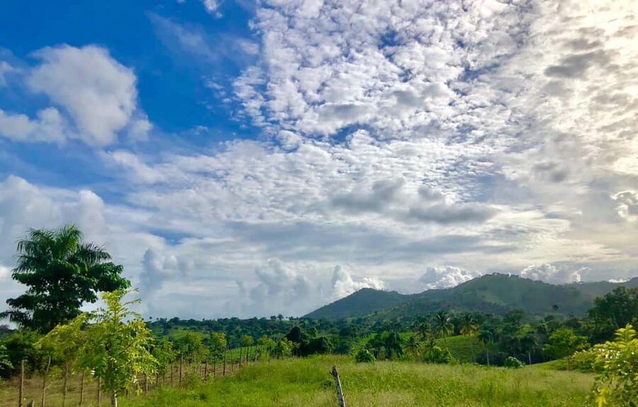 From Punta Cana: Jungle Buggy Adventure to Anamuya River - Quick tips to avoid common disappointments