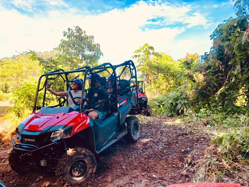 From Punta Cana: Jungle Buggy Adventure to Anamuya River - Honda Pioneer 700 buggies and the safety basics that actually help