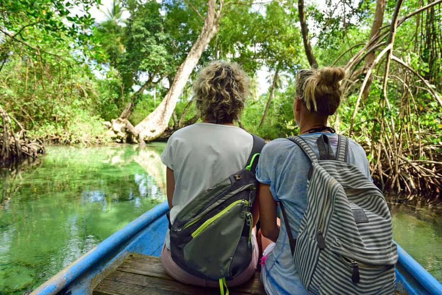 From Punta Cana: Los Haitises & Caño Hondo Private Boat Tour - Key Points You’ll Care About