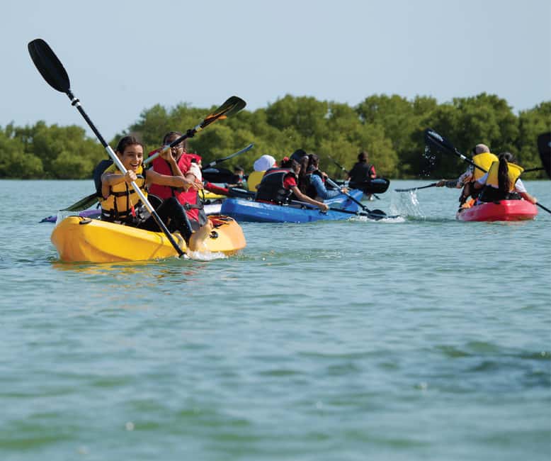 From Punta Cana: Los Haitises & Caño Hondo Private Boat Tour - The Private Boat Ride at Caño Hondo (Deep Creek)