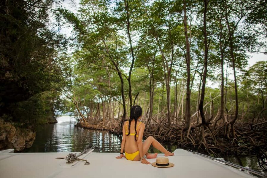 From Punta Cana: Los Haitises Guided Day Tour - Guide quality and the day’s pacing, what to expect in real life