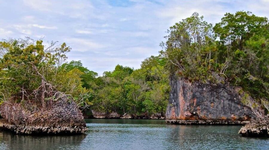 From Punta Cana: Los Haitises Guided Day Tour - Should you book this Los Haitises day tour from Punta Cana?