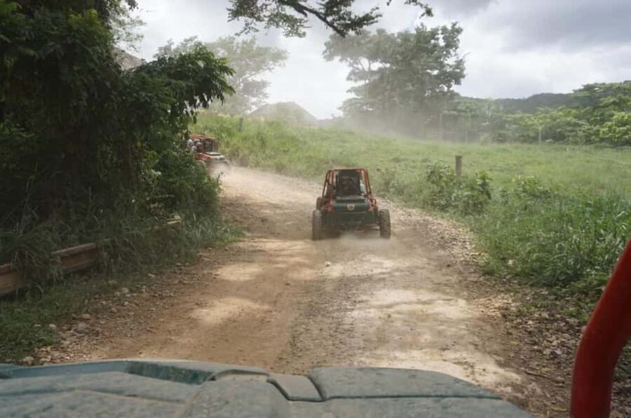 From Punta Cana or La Romana: Sugarcane Fields Buggy or Quad - Key points before you go
