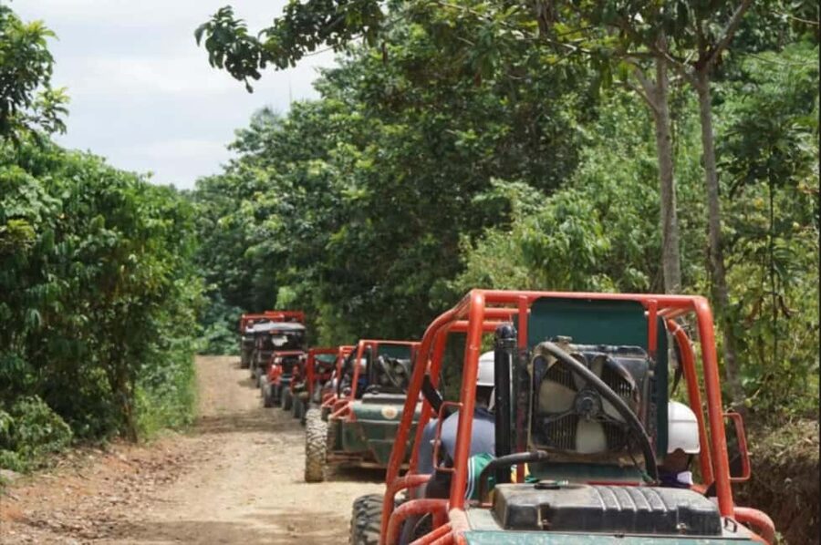 From Punta Cana or La Romana: Sugarcane Fields Buggy or Quad - Sugarcane Fields and the Chavón River, the Real Selling Points