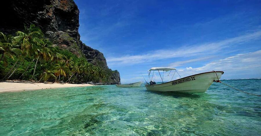 From Punta Cana: Samana Bay Private Whale Watching Cruise - Key Highlights You Should Care About