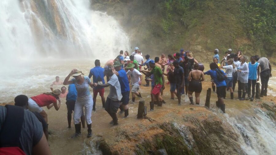 From Punta Cana: Samaná, Cayo Levantado & El Limón Waterfall - A 12-hour plan that mixes animals, water, and beach time