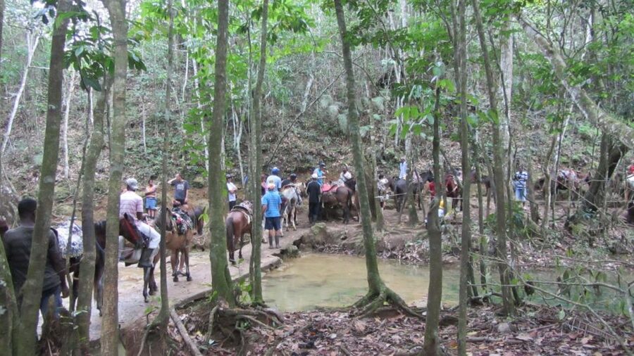 From Punta Cana: Samaná, Cayo Levantado & El Limón Waterfall - Timing and the reality of Spanish guiding