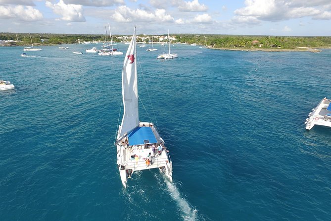 From Punta Cana: Saona Island & Altos de Chavon Day Trip with Lunch and Open Bar - Food and Drinks: BBQ Lunch, Unlimited Basics, and the Tip Reality