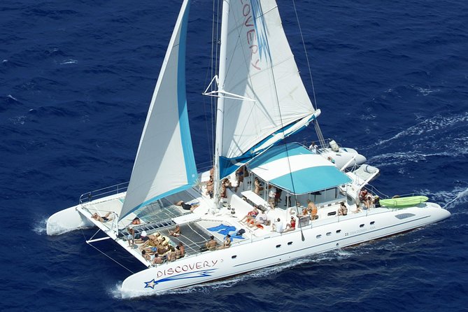 From Punta Cana: Saona Island & Altos de Chavon Day Trip with Lunch and Open Bar - Who Will Love This Tour, and Who Should Think Twice