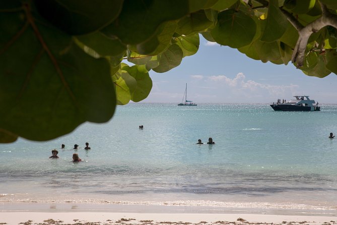 From Punta Cana: Saona Island & Altos de Chavon Day Trip with Lunch and Open Bar - What to Pack for a 6:30 AM Start and a Sea-and-Sand Day