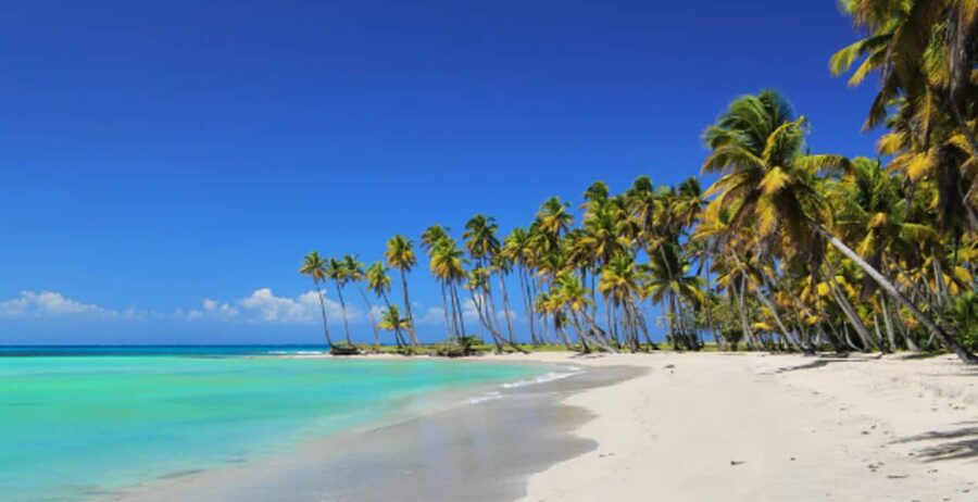 From Punta Cana: Saona Island Boat Trip with Buffet - Key Highlights at a Glance