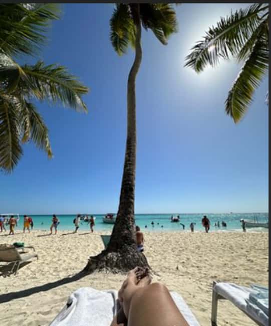 From Punta Cana: Saona Island Boat Trip with Buffet - The Boat Ride: Catamaran vs Speedboat and What to Expect
