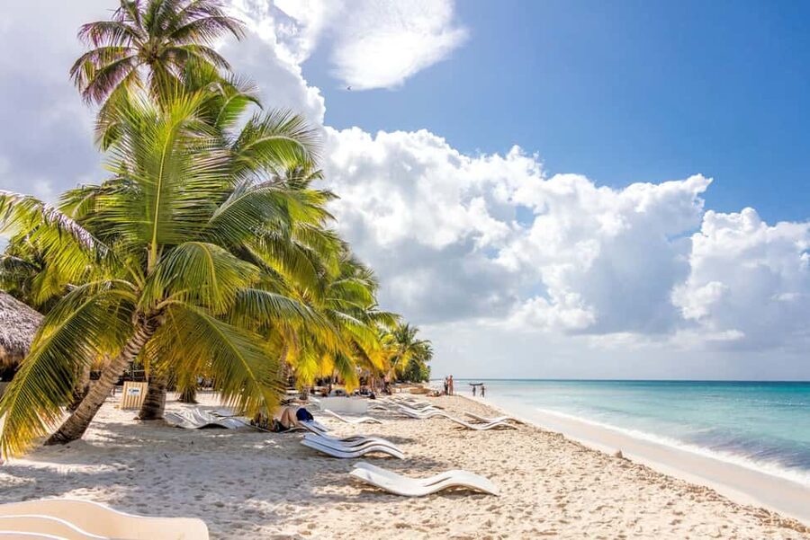 From Punta Cana: Saona Island Cruise with Private Beach - Should you book this Saona Island cruise?