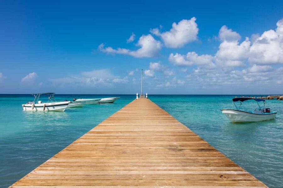 From Punta Cana: Saona Island Cruise with Private Beach - Arriving on Saona: photos, palm shade, and a reserved 1 km beach