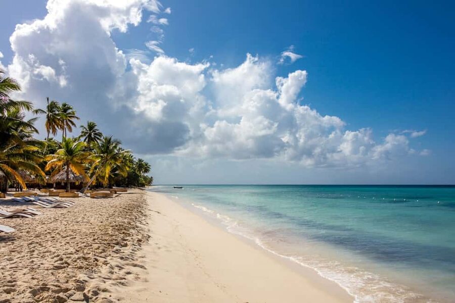 From Punta Cana: Saona Island Cruise with Private Beach - Who this Saona cruise fits, and who should skip it