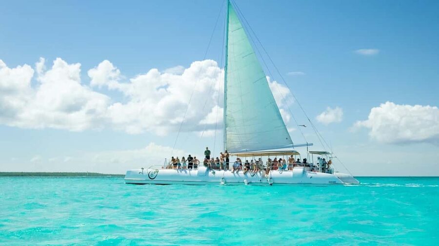 From Punta Cana: Saona Island Day Trip with Buffet Lunch - Guides and group flow: multilingual help, plus the reality of crowds