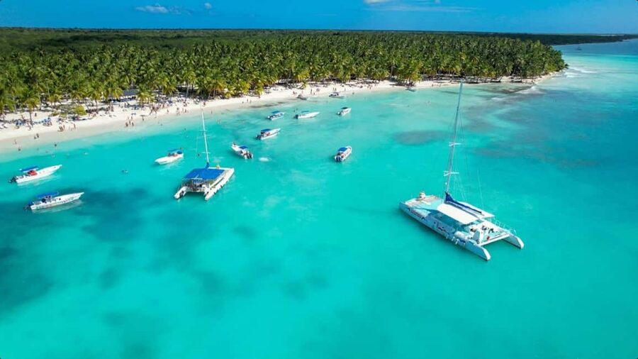 From Punta Cana: Saona Island Day Trip with Buffet Lunch - Price and value: is $65 a fair deal?