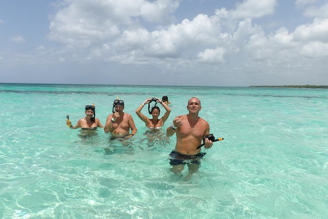 From Punta Cana: Saona Island Full Day For Small Group Catamaran - Key Points Before You Go