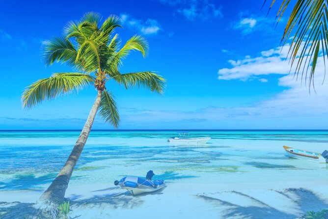 From Punta Cana: Saona Island Full Day For Small Group Catamaran - Speedboat Time and the Natural Pool Stop