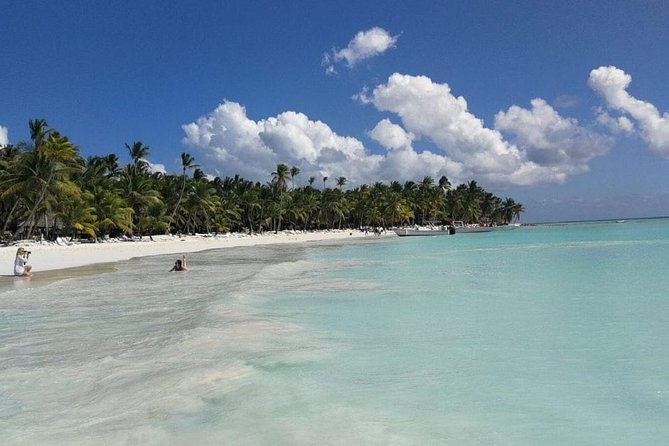From Punta Cana: Saona Island Full Day For Small Group Catamaran - Saona Island Beach Time: Swim, Wander, Eat, Repeat