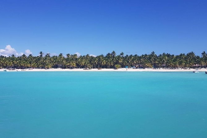 From Punta Cana: Saona Island Full Day For Small Group Catamaran - Open Bar and Lunch: The Included Perks You Should Actually Care About
