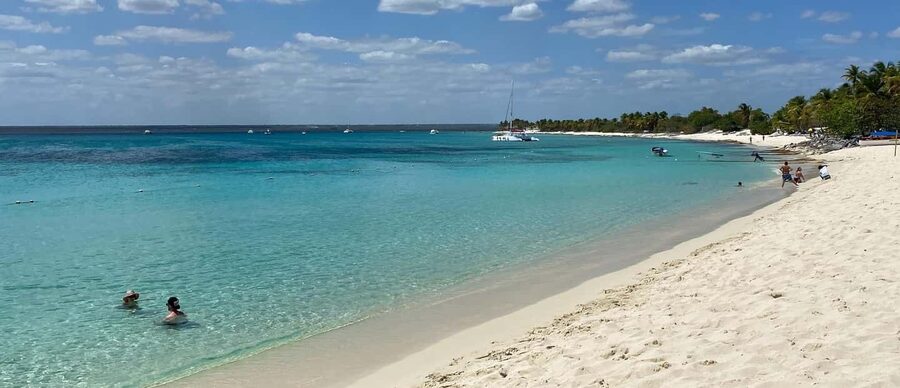 From Punta Cana: Saona Island Full-Day Tour with Lunch - Bayahibe Port To Natural Swimming Pool: A 30-Minute Break That Actually Has Purpose
