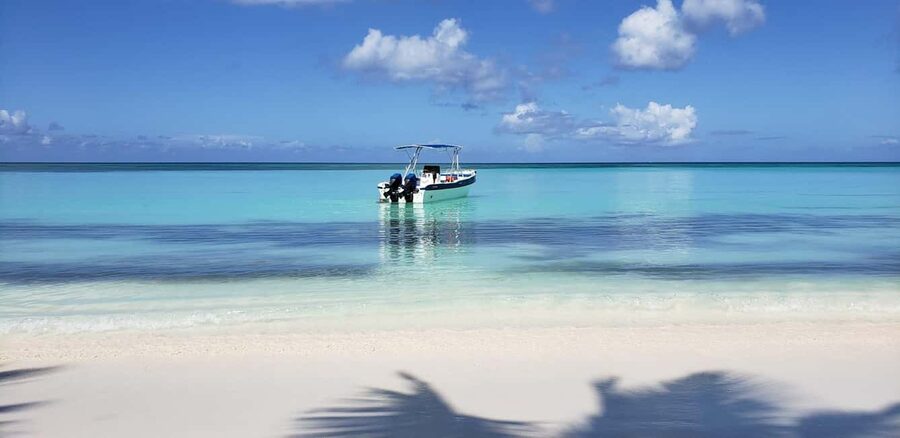 From Punta Cana: Saona Island Full-Day Tour with Lunch - Saona Island for 3 Hours: How to Make the Most of Your Time on the Sand