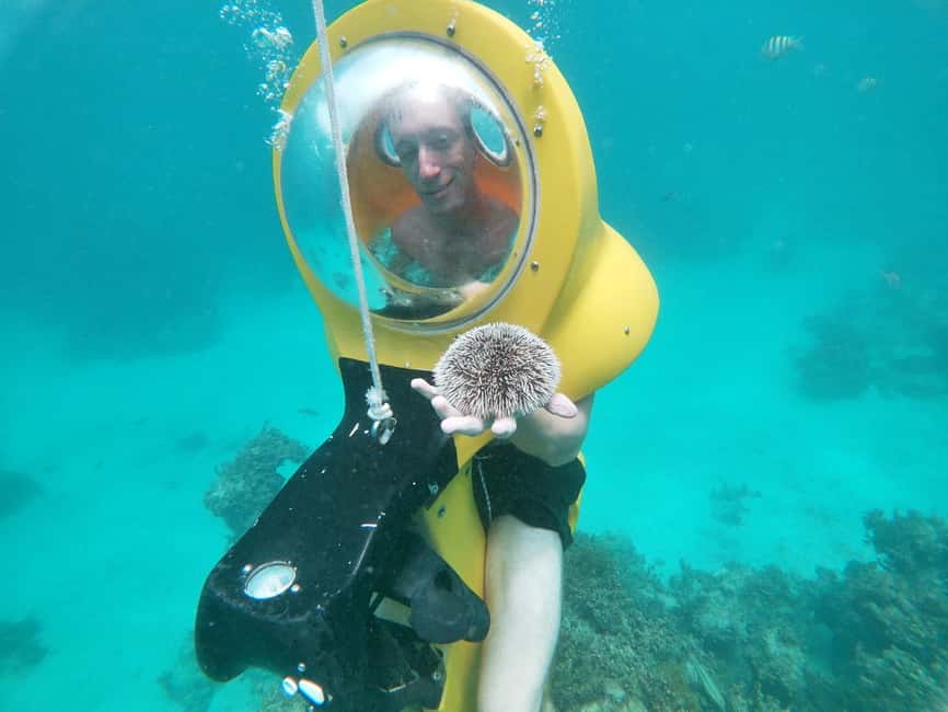 From Punta Cana: ScubaDoo, Snorkel & Glass Bottom Boat Tour - Who this tour suits best, and who should skip it