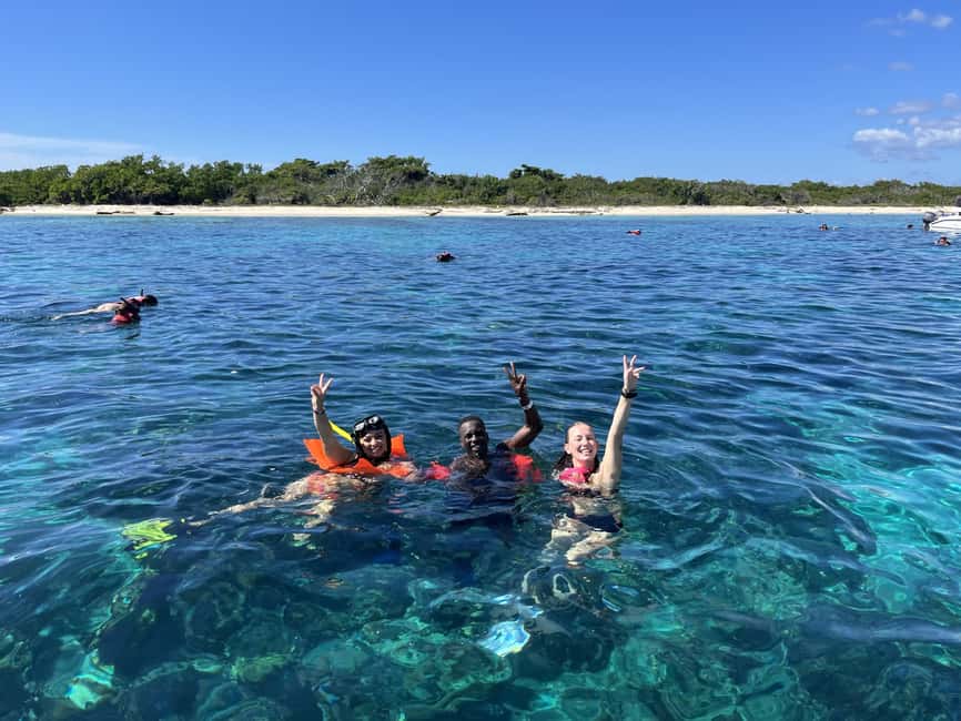From Punta Cana: Small Group Catalina Island Snorkeling Tour - Key highlights worth getting excited about