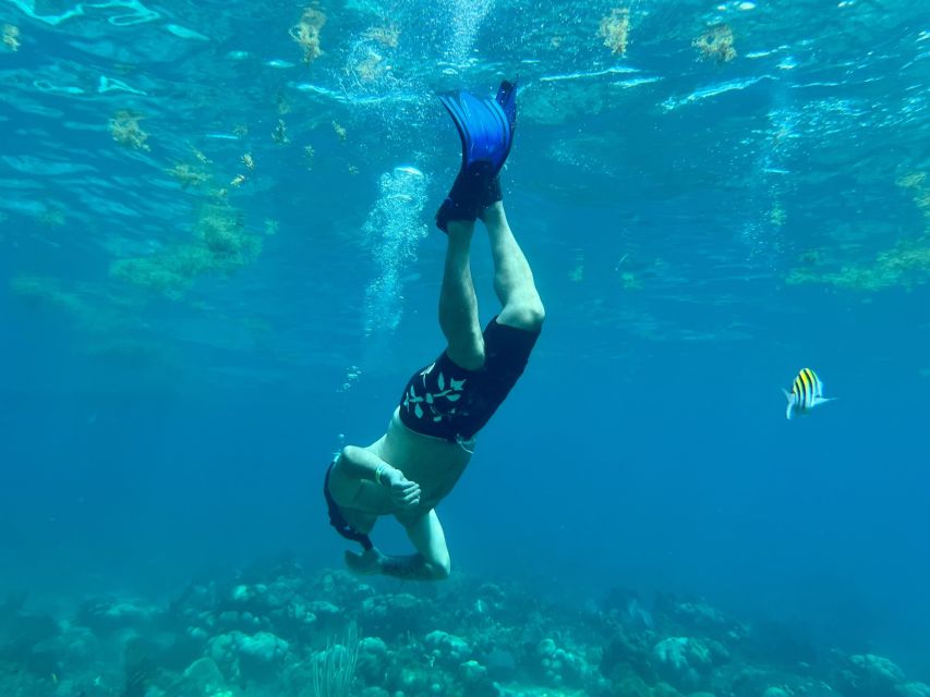 From Punta Cana: Small Group Catalina Island Snorkeling Tour - Who this tour suits best, and who should choose another option