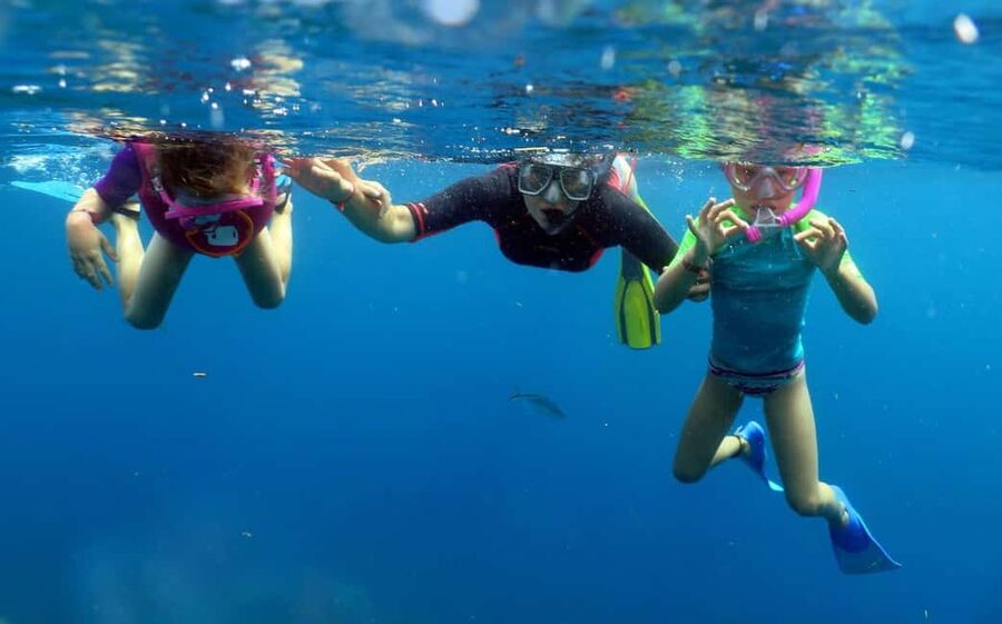 From Punta Cana: Small Group Catalina Island Snorkeling Tour - Snorkeling The Wall, then The Aquarium, two styles of underwater viewing