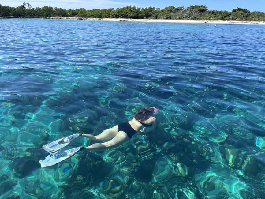 From Punta Cana: Small Group Catalina Island Snorkeling Tour - Lunch on Catalina beach, good food, and how to handle the crowding