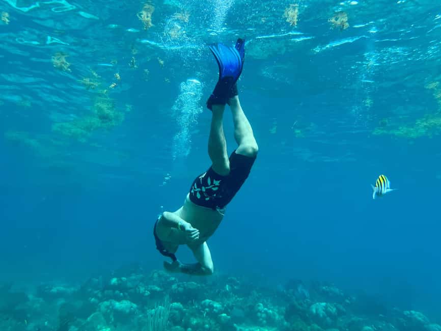 From Punta Cana: Small Group Catalina Island Snorkeling Tour - Natural Pool stop, plus what it gives you in the day