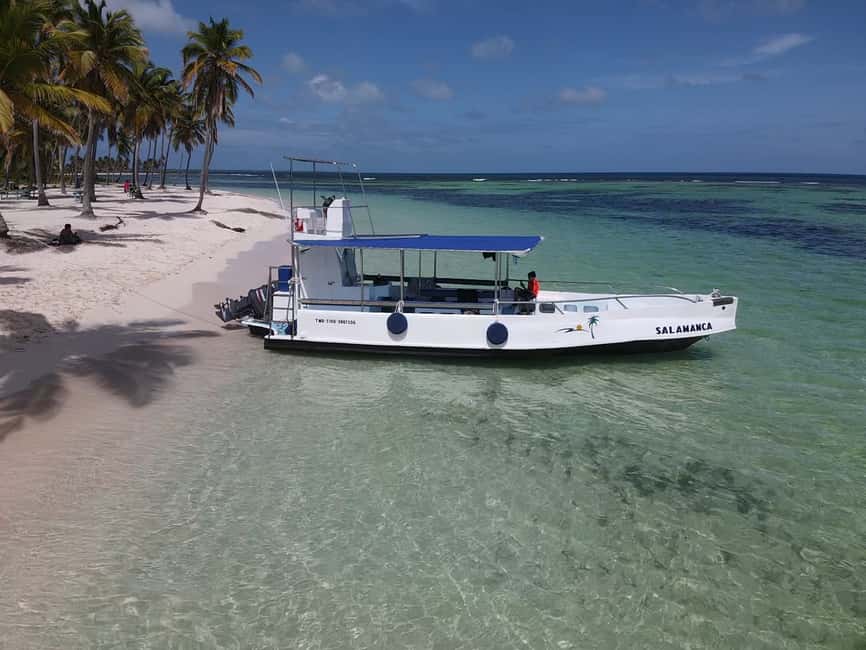 From Punta Cana: Small Group Catalina Island Snorkeling Tour - Price and value, what $128 buys you in real terms