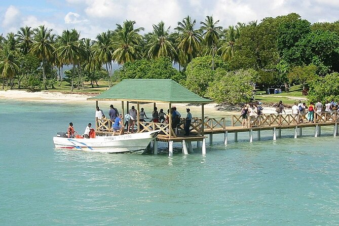 Full Day Bacardi Whale Watching - End Season March 30th - Season Timing: End Season March 30 and What Changes After April 1