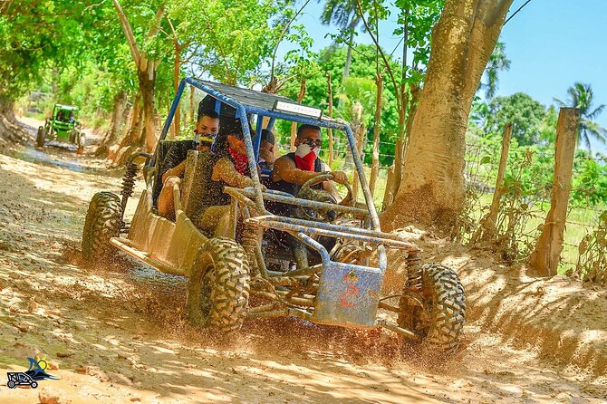 Full-day Buggy & Party Boat tour: snorkel, open bar, cave pool - Key Points to Know Before You Go