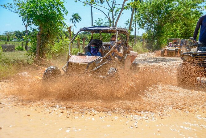 Full-day Buggy & Party Boat tour: snorkel, open bar, cave pool - Coffee Plantation Tastings: A Small Break That Adds Real Local Flavor