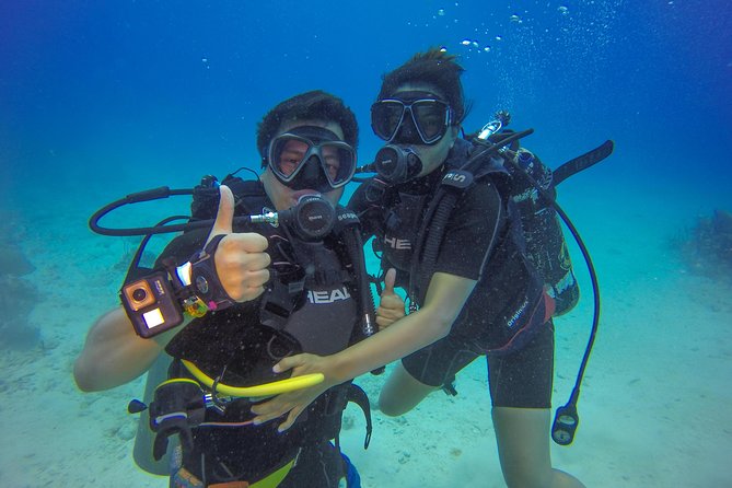 Full-Day Catalina Island Scuba Diving Tour from Punta Cana - Hotel pickup and marina logistics, where the day can slow down