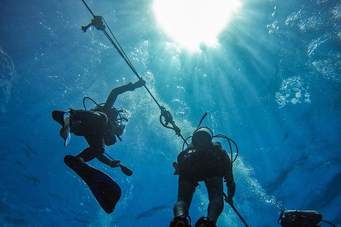 Full-Day Catalina Island Scuba Diving Tour from Punta Cana - Boat ride on the Moto Catamaran, the energy check before you go underwater