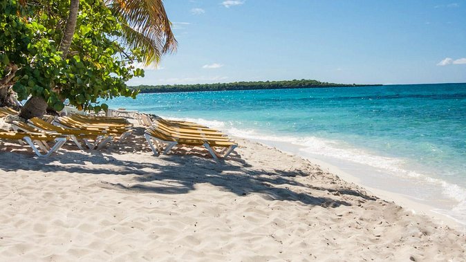 Full-Day Catalina Island Snorkeling Tour from Bavaro - Catalina Island in a Long Day: what your schedule really feels like