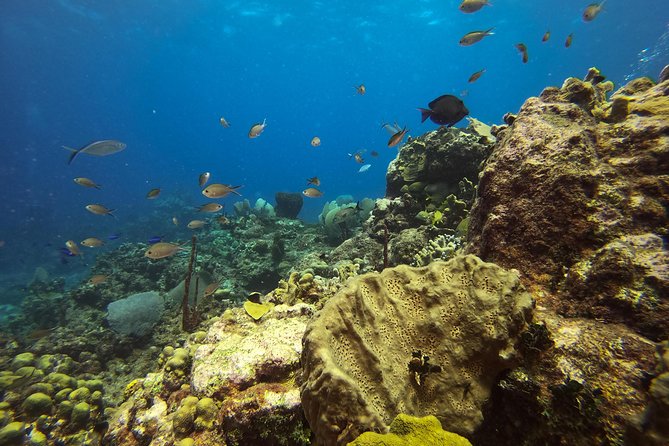 Full-Day Catalina Island Snorkeling Tour from Bavaro - Stop 3 and the return rhythm: staying flexible for the boat back
