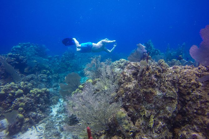 Full-Day Catalina Island Snorkeling Tour from Bavaro - Staff, guides, and why Eileen (Mama) shows up in the stories