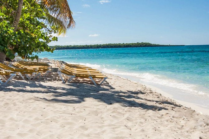 Full-Day Catalina Island Snorkeling Tour from La Romana - Boarding the Paradise catamaran, meeting your snorkel team
