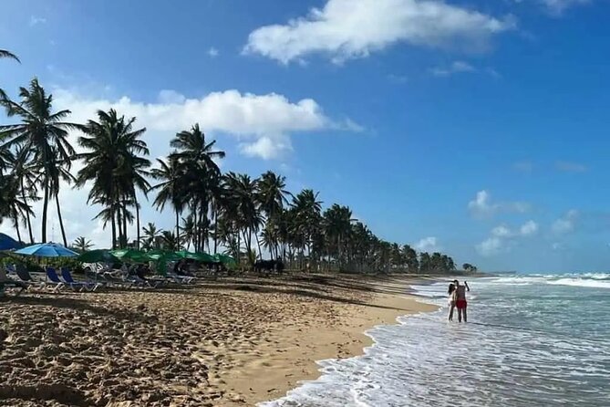 Full Day City Tour of Punta Cana - Getting started at 10:00 am, pickup, and how to prepare