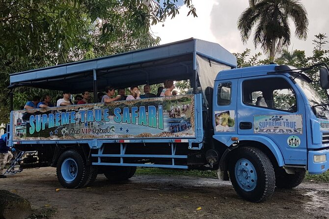 Full Day Eco Safari Adventure and Cultural Tour - Open bar and buffet lunch: what to expect (and how to handle it)